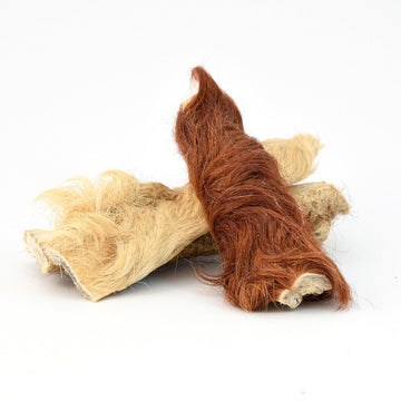 Peau de tête de bœuf avec poils